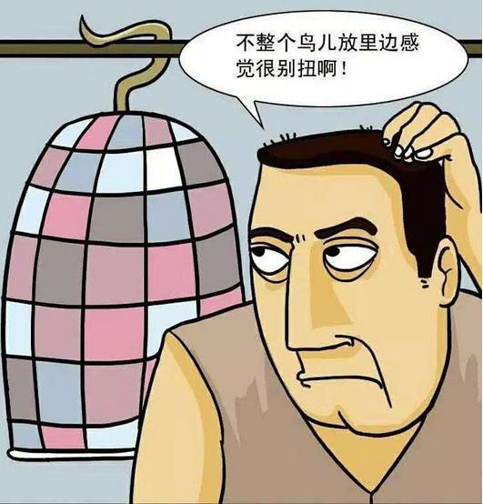 孩子学习不自觉怎么办,孩子写作业不自觉怎么办(停止强迫孩子的不良