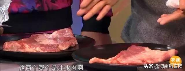 怎样辨别羊肉的真假 教您识别真伪方法，怎样辨别羊肉的真假（只用一招，立马辨别真假羊肉）