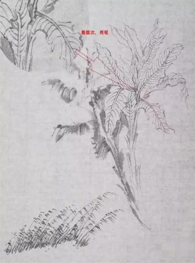 国画教程是什么，国画简单教程（传统国画基础教程，几步教会你）