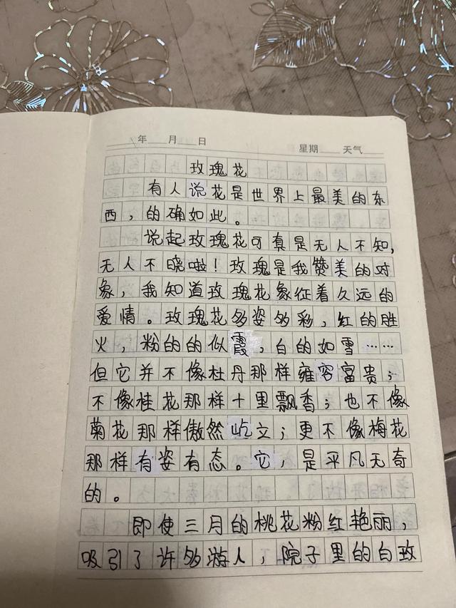 四年级玫瑰作文300字十篇，玫瑰作文400字四年级（侄女心悦的作文展示《玫瑰花》）