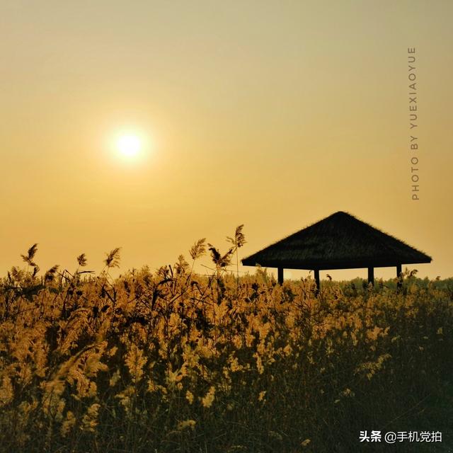 轻烟老树寒鸦什么意思，轻烟老树寒鸦前面一句是什么（不妨跟着“古诗”拍拍看）