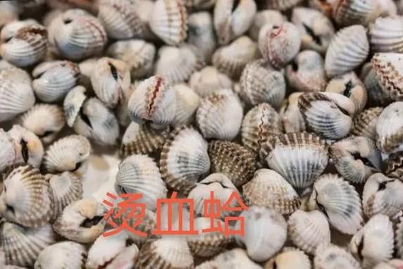 潮汕人七样菜饭，红红火火迎牛年到