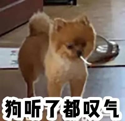 拉筋板使用方法，拉筋板使用方法图（低至16元的平价运动好物）