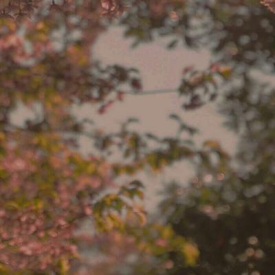 听凉秋风紧网名，听凉秋风紧微信昵称（诗意有感觉的唯美网名柔柔弱弱-可爱点）