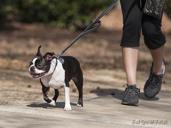 borrow怎么读,borrow如何读(四年级英语上册单词列表,例句汇总)