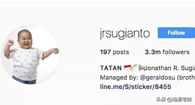 tatan为什么走红，tatan是怎么火的（是碰到这些刁钻难缠的熊娃表情包）