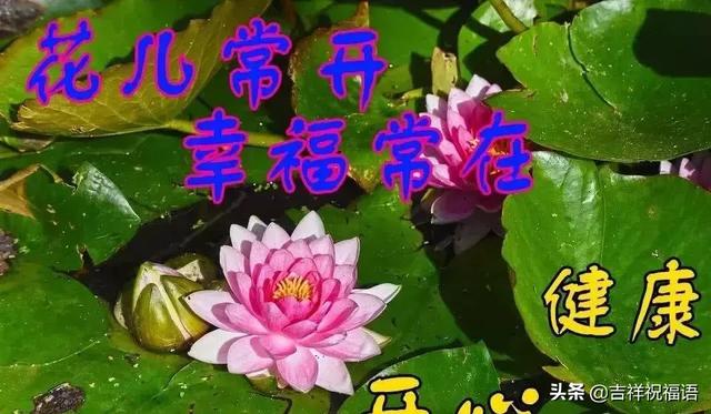 生活生下来活下去，生活生下来活下去简单的两个字概括人生（生活，就是生下来活下去）