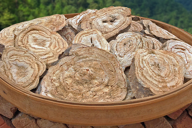 本草图经作者是谁，《本草图经》的作者（芎藭 蘼蕪 藁本）