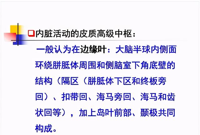 大脑杏仁体解剖图，高清大脑解剖图谱