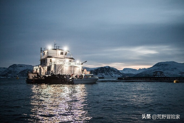 为什么北极的鳕鱼冻不死，鳕鱼只有冷冻的吗（大西洋鳕鱼与普通鳕鱼根本不是一回事）