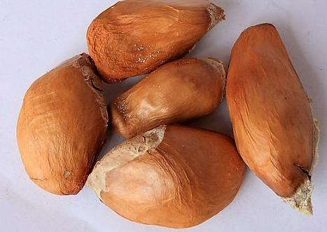 榴莲籽怎么吃最好，榴莲籽怎么吃（他把吃剩的榴莲籽洗干净）