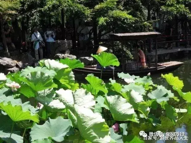 苏州旅游必去景点，苏州十大著名景点排行（苏州“最热门”的10大旅游景点）