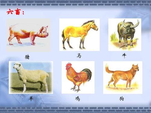 我国何时开始驯养六畜?