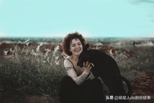 适合女生养的狗狗，盘点适合女生养的狗（适合女孩子养得6种狗狗）