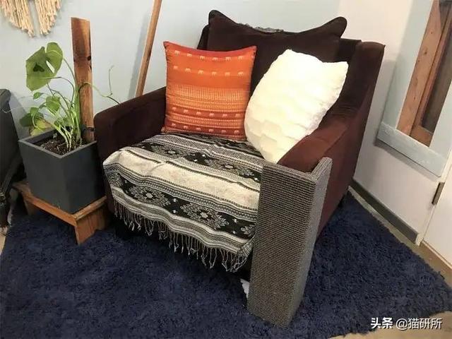 怎么防止猫咪抓沙发，怎么防止猫咪抓沙发跑（终于找到让猫咪不挠沙发的办法了）