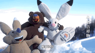 平昌冬奥会吉祥物，2018年韩国平昌冬奥会会徽吉祥物介绍（历届冬奥会吉祥物“全家福”来了）