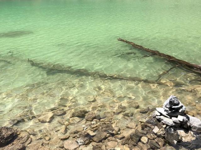 稻城在哪，亚丁稻城在哪（在稻城亚丁，满载一身春色而归）