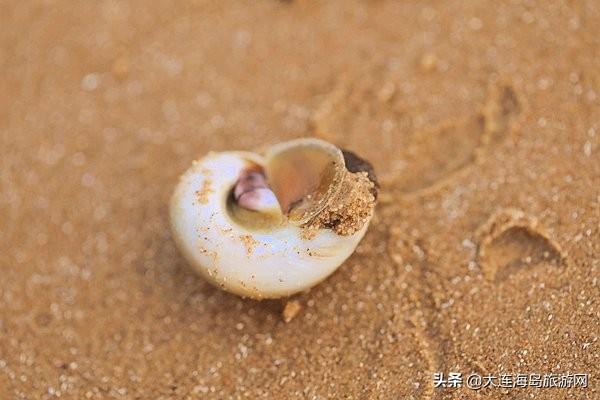 大连西中岛怎么样，西中岛旅游攻略（2019年五一小长假）