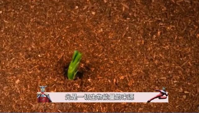 世界上真的有奥特曼吗，世界上真的有狗熊岭吗（奥特曼是真的存在吗）