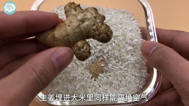 生姜怎么保存，生姜怎么保存新鲜不烂（原来保存生姜这么简单）