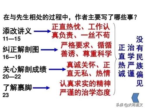藤野先生教案，藤野先生教案优秀教学设计（《藤野先生》教学后记）
