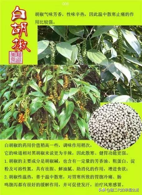 常见中草药图谱，中草药经典图谱（让你知道常用药都长啥样）