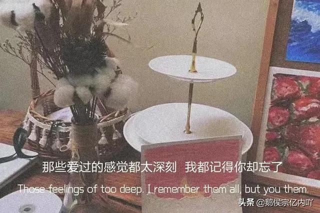 聚散不由我(我也尽力喜欢过,但是聚散不由我)