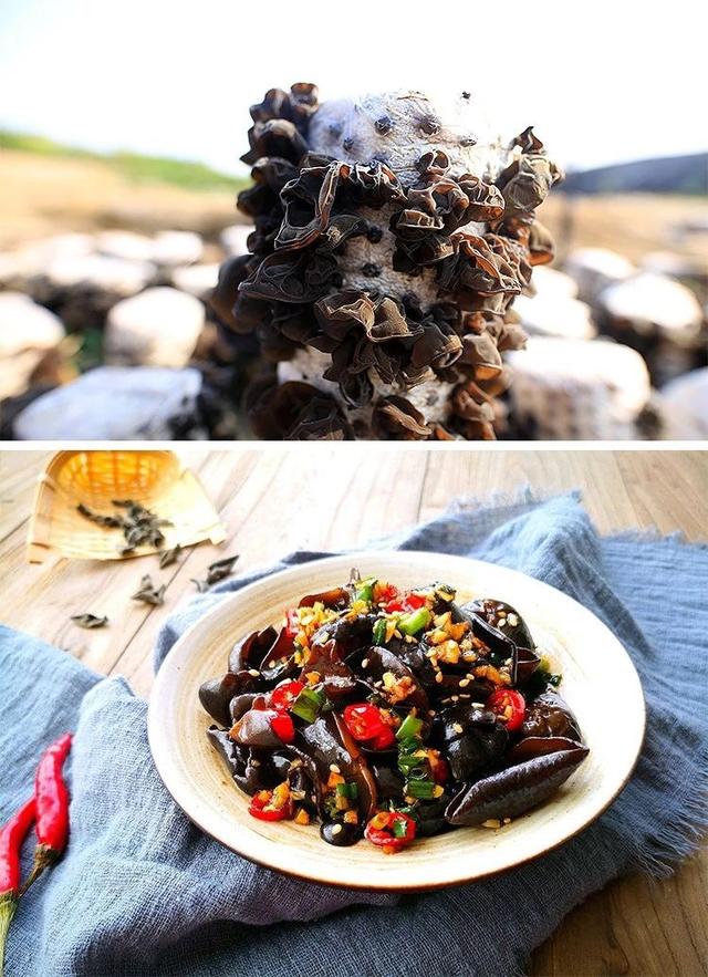 泡木耳需要注意什么，泡木耳需要注意什么饮食（木耳为什么不能这样泡着吃）