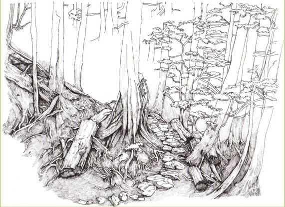 马克笔绘画教程风景画，马克笔绘画教程入门（适合初学者学习的彩铅风景画步骤教程）