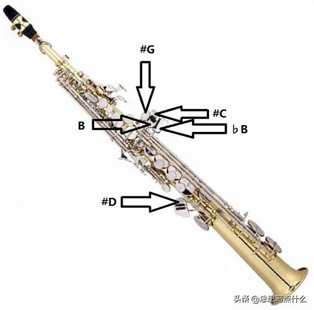 薩克斯按鍵圖解,初學薩克斯指法(薩克斯各個按鍵的種類及其作用)
