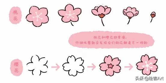 抖音最火可爱简笔画，抖音最火的简笔画（简笔画大佬成团可爱联萌）