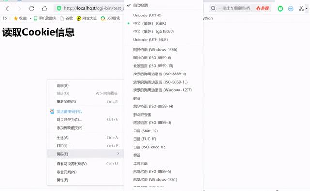 网页乱码怎么解决，打开网页文字乱码怎么办（如何解决网页乱码、调用cookie乱码问题）