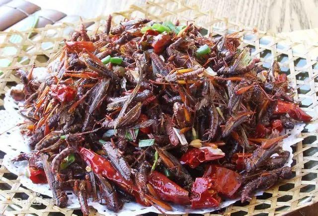 蝗虫的功效与作用，炸蚂蚱的功效与作用（油脂比花生油还香的蝗虫灾来了）