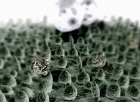 冰丝t恤衫是什么面料，冰丝衬衫是什么面料（中科院开发黑科技冰丝T恤）