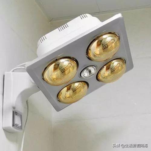 霸王芋，卫生间潮湿、发霉、不通风（霸王芋的养殖方法和注意事项）