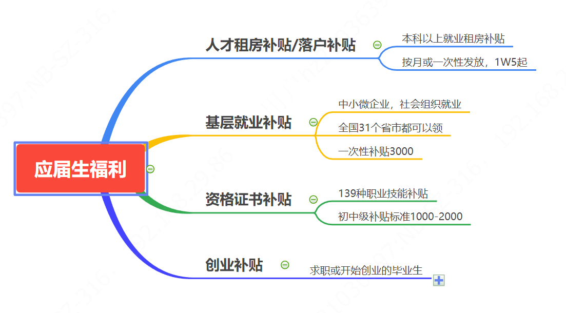 应届本科毕业生（应届生领钱啦）