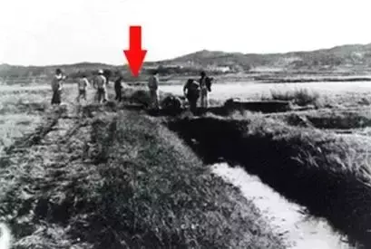 杀人回忆凶手是谁，《杀人回忆》凶手是谁（《杀人回忆》的凶手终于被找到了）