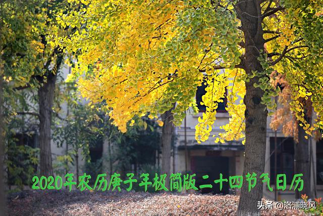 手工日历简单又漂亮，自制日历装饰（2020年手工极简版二十四节气日历）