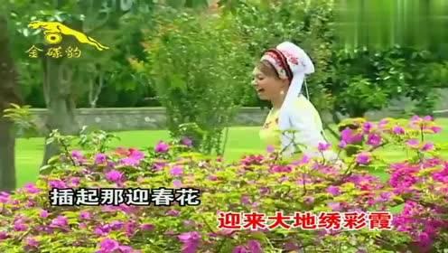 很奈斯是什么意思，好奈斯是什么意思（“莫叫姐姐”是怎么火的）