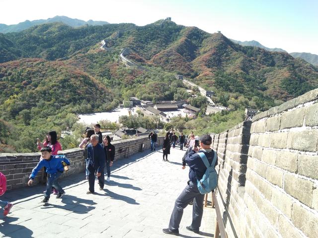 纯净的拼音，《部首识字歌诀》口部21字（纯净的拼音怎么读音）