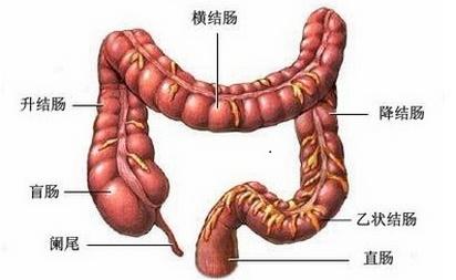 肠镜当天可以做吗，肠镜检查当天能做吗（心里那一关怎么过）