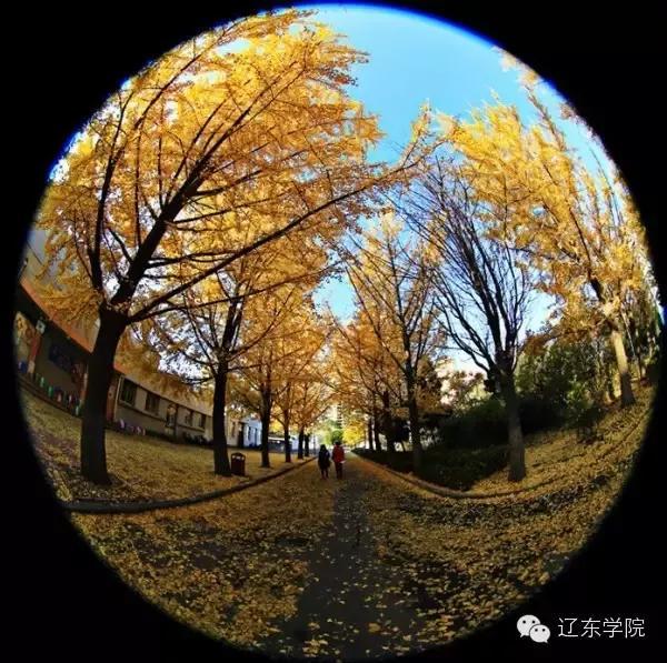 辽东学院宿舍条件怎么样，辽东学院宿舍几人间（辽宁省普通高等院校）