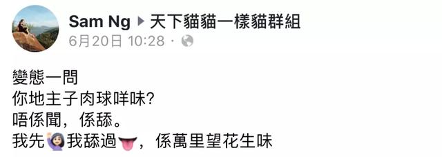 可爱表情包.抱我的小猫腿舔我的jio，微信头像，可爱表情包.抱我的小猫腿舔我的jio（却把评论区逼成了恋jio癖哈哈哈）