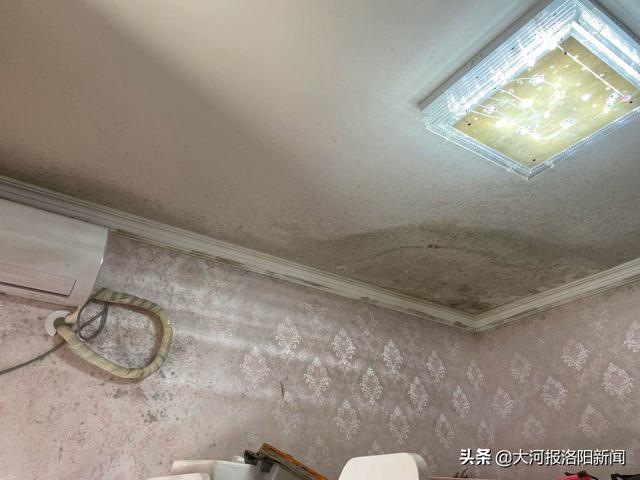 发霉的房间住一天对人的影响，除霉的最好方法（洛阳东方今典天汇中心居民看到屋内这一幕惊了）