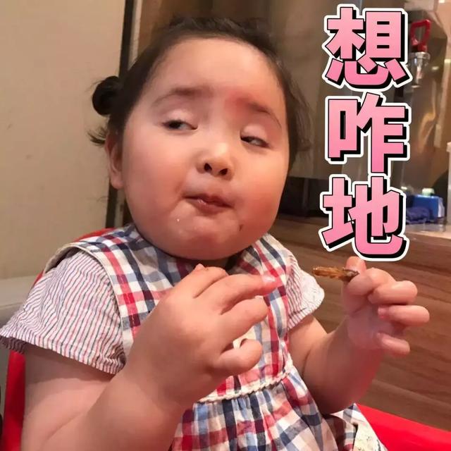 权律二呆萌搞怪可爱图片，权律二头像可爱搞怪（谢飞机、小刚几、权律二…长期霸屏的网红表情包们长大了...）