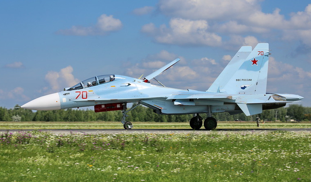 什么是侧卫家族，什么是侧卫家族族谱（到底哪家苏30最强）