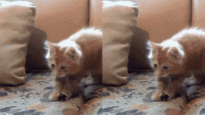 opporeno8电量百分比怎么设置，opporeno8怎么显示电量百分比（2020新机皇OPPO）