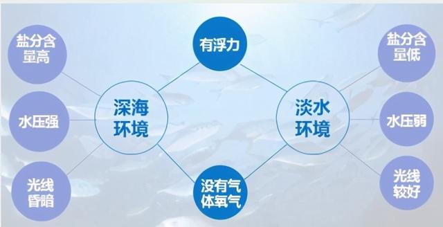 孩子思维训练三种方法，孩子思维训练的三种方法（用3种图示法培养逻辑思维力）