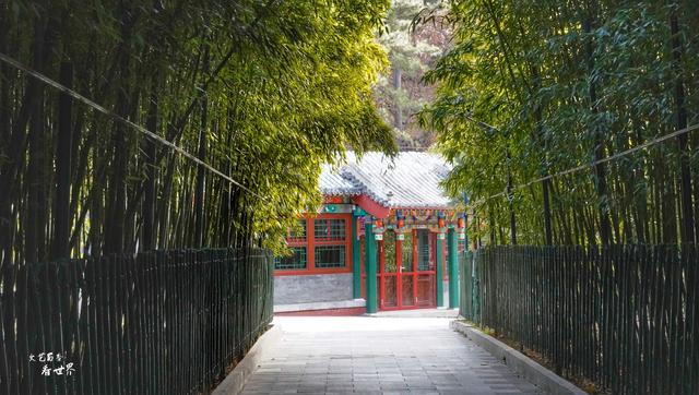 普陀山求什么最灵验，普陀山三年讲究（北京香火最旺的皇家寺庙）