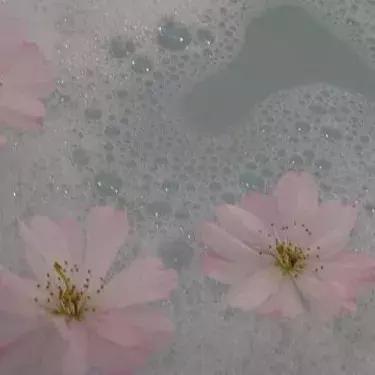 高清 唯美云朵高清背景图,微信头像,高清 唯美云朵高清背景图(柔柔的风透着花的味道) 高清 唯美云朵高清背景图,微信头像,高清 唯美云朵高清背景图(柔柔的风透着花的味道)